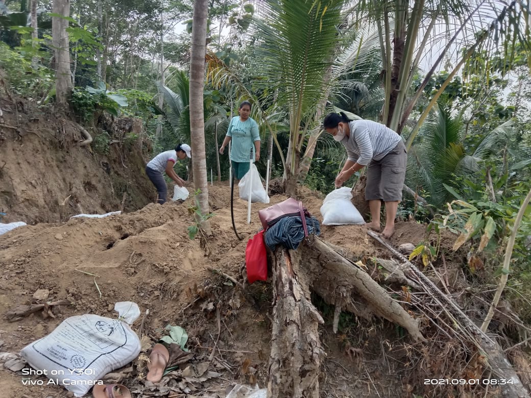 Pemupukan Jahe Merah KWT Melati